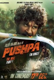 ดูหนัง Pushpa The Rise - Part 1 (2021) พุชป้า กลับมาตะลุย 1 ซับไทย เต็มเรื่อง ดูหนังออนไลน์2022