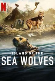 ดูซีรี่ย์ Island of the Sea Wolves (2022) เกาะหมาป่าทะเล ซับไทย เต็มเรื่อง | ดูหนังออนไลน์2022